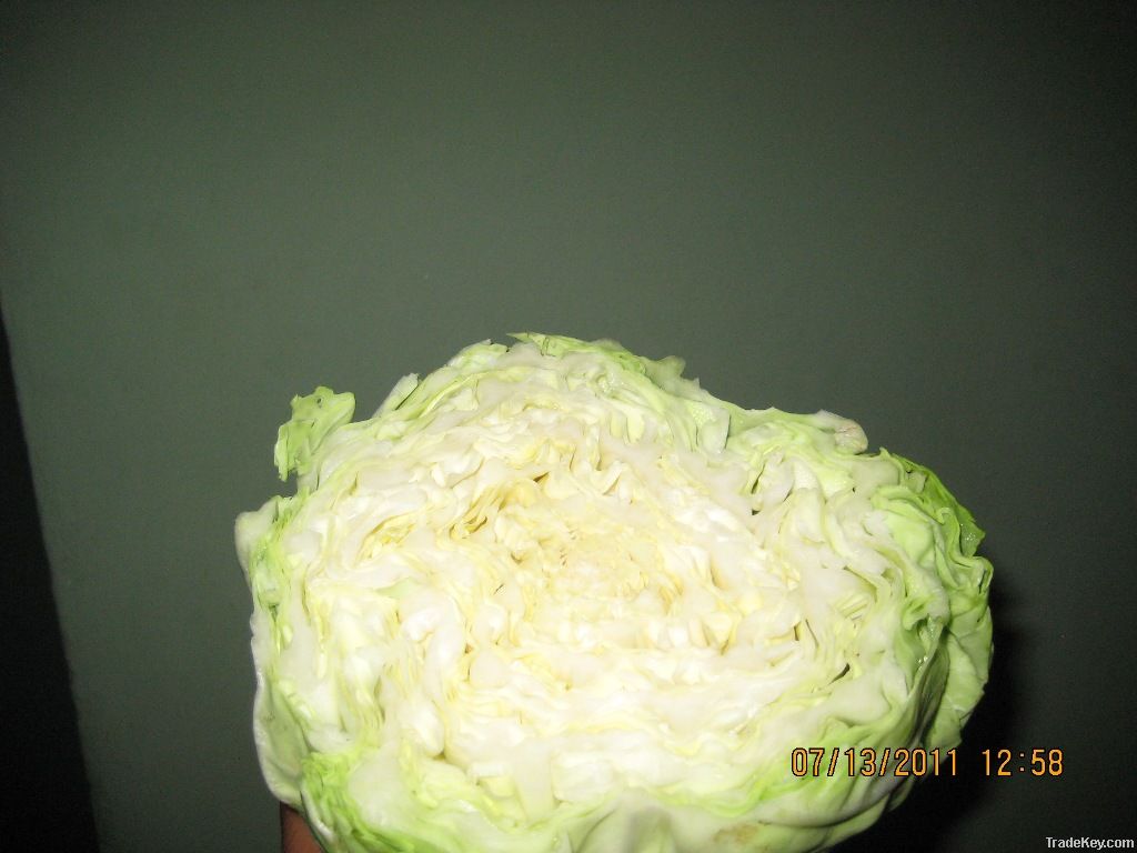 White Cabbage