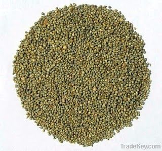 millet for animal and human