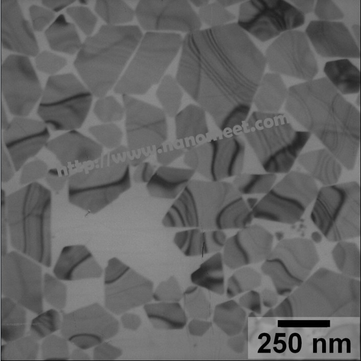 Silver Nanosheet    NM-SNS-400