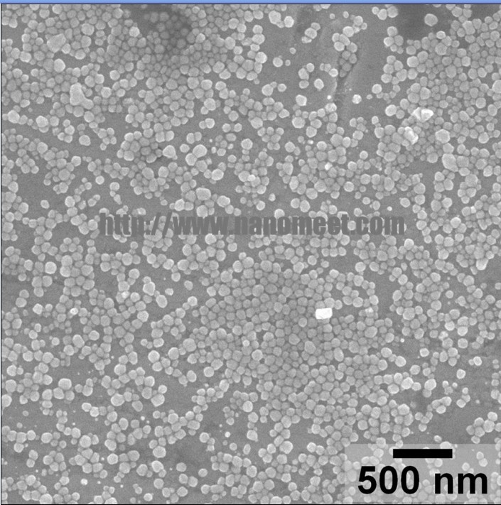 Silver Nanoparticles    NM-SNP-50