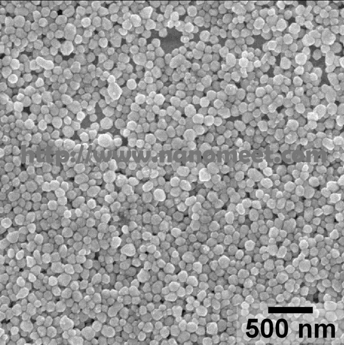 Silver Nanoparticles    NM-SNP-100