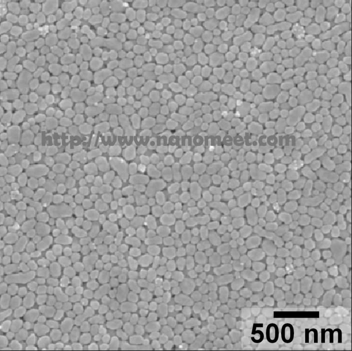 Silver Nanoparticles    NM-SNP-200