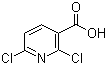 2, 6-dichloronicotinic acid(CAS:38496-18-3)