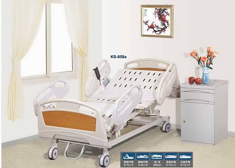 Electric Five-function Care Bed