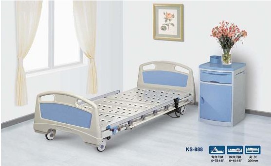 Super Low Wooden Electric Care Bed