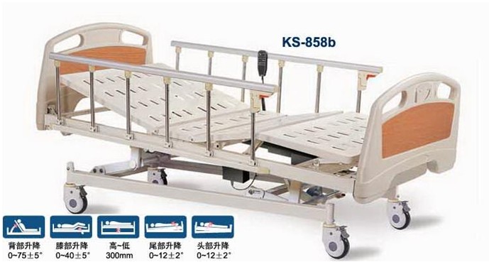 Electric Five-function  Care Bed