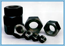 hex nut