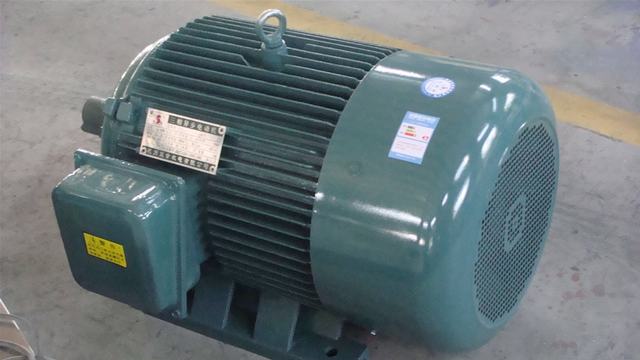 Y series motor