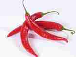 chilli