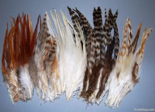 Color Grizzly Rooster Feathers For Hair Extension