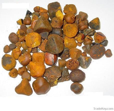 Ox Gallstones