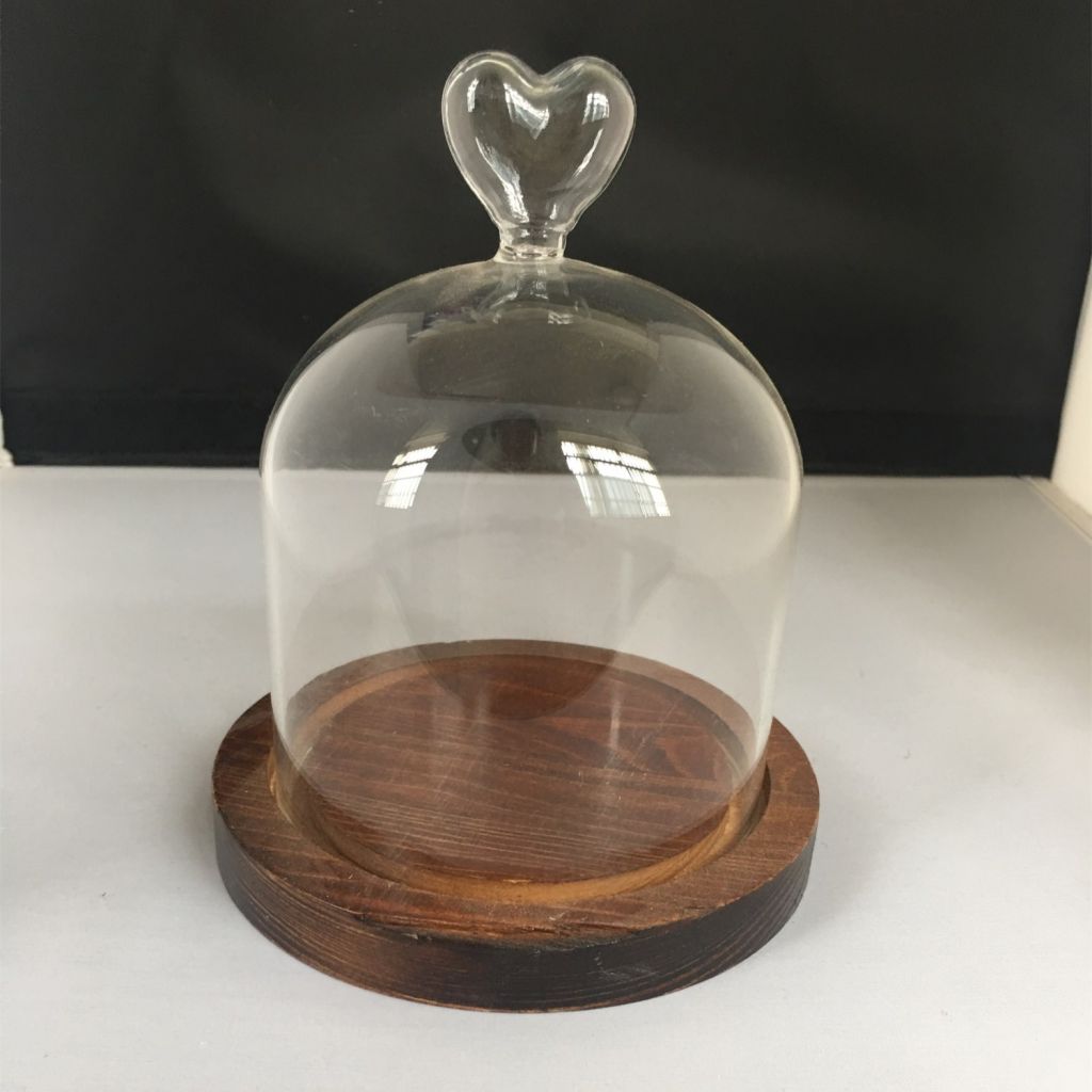 Borosilicate glass bell jar with wooden base