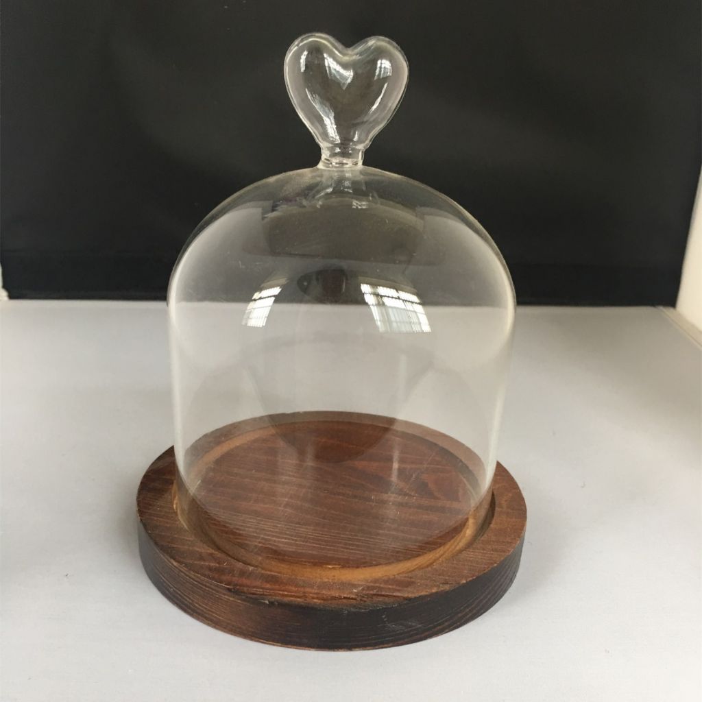 Wholesale clear borosilicate glass bell jar with handle