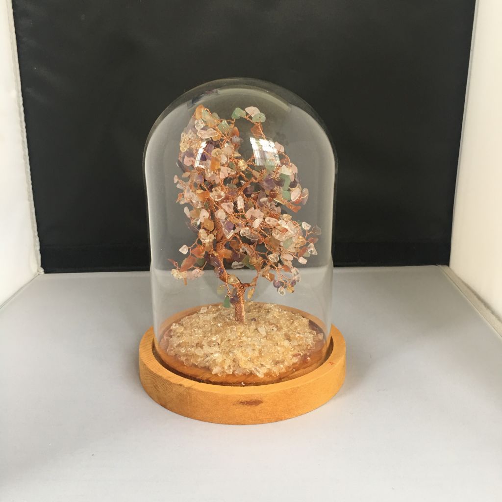 Low price dome borosilicate glass cover with wooden base