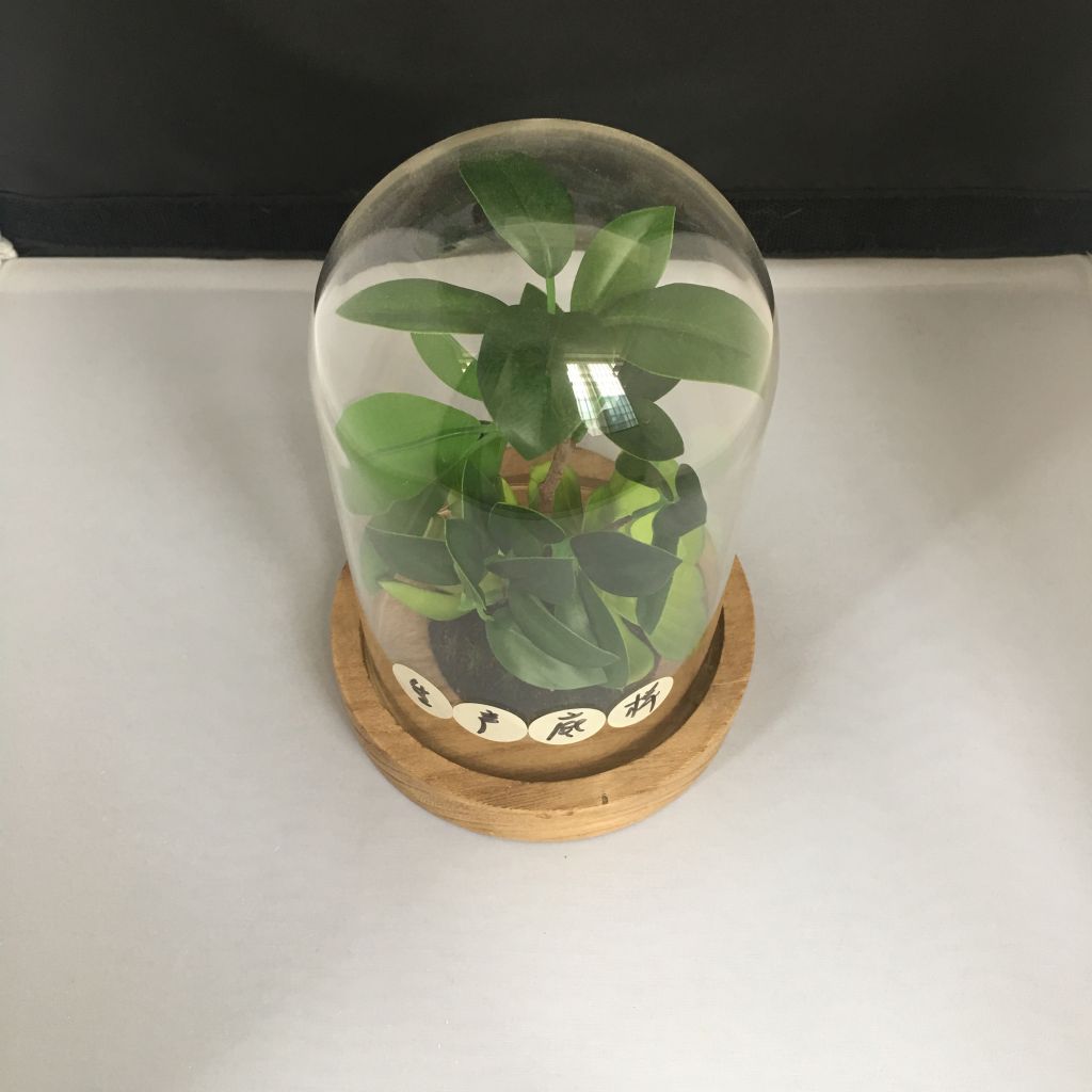 Hot product clear borosilicate glass bell jar