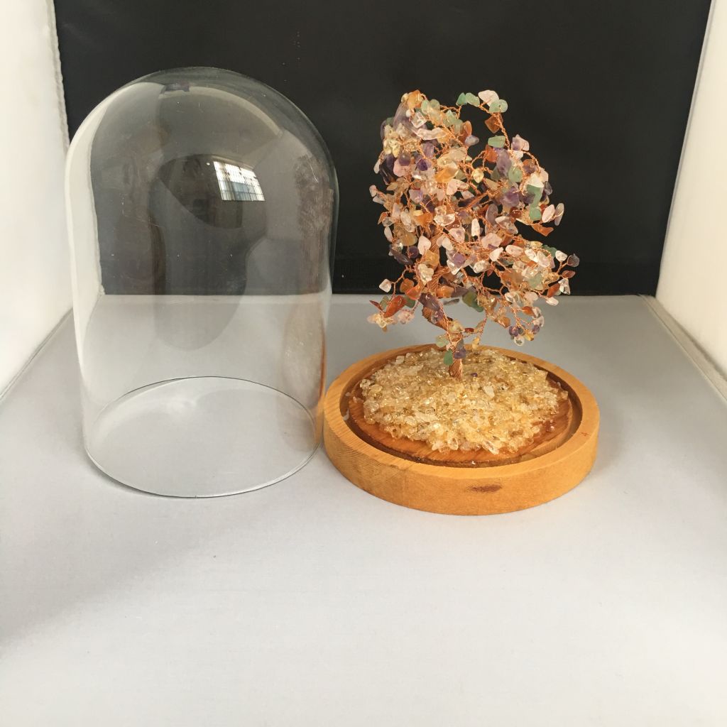 Low price dome borosilicate glass cover with wooden base