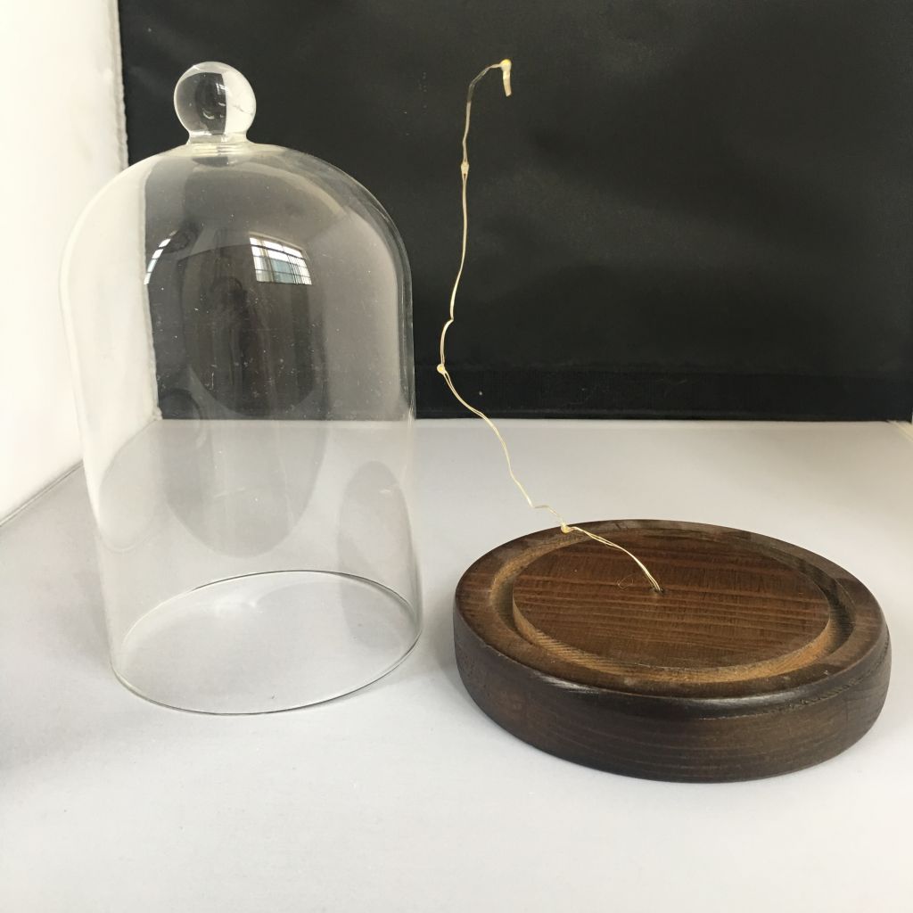 Borosilicate glass bell jar with handle