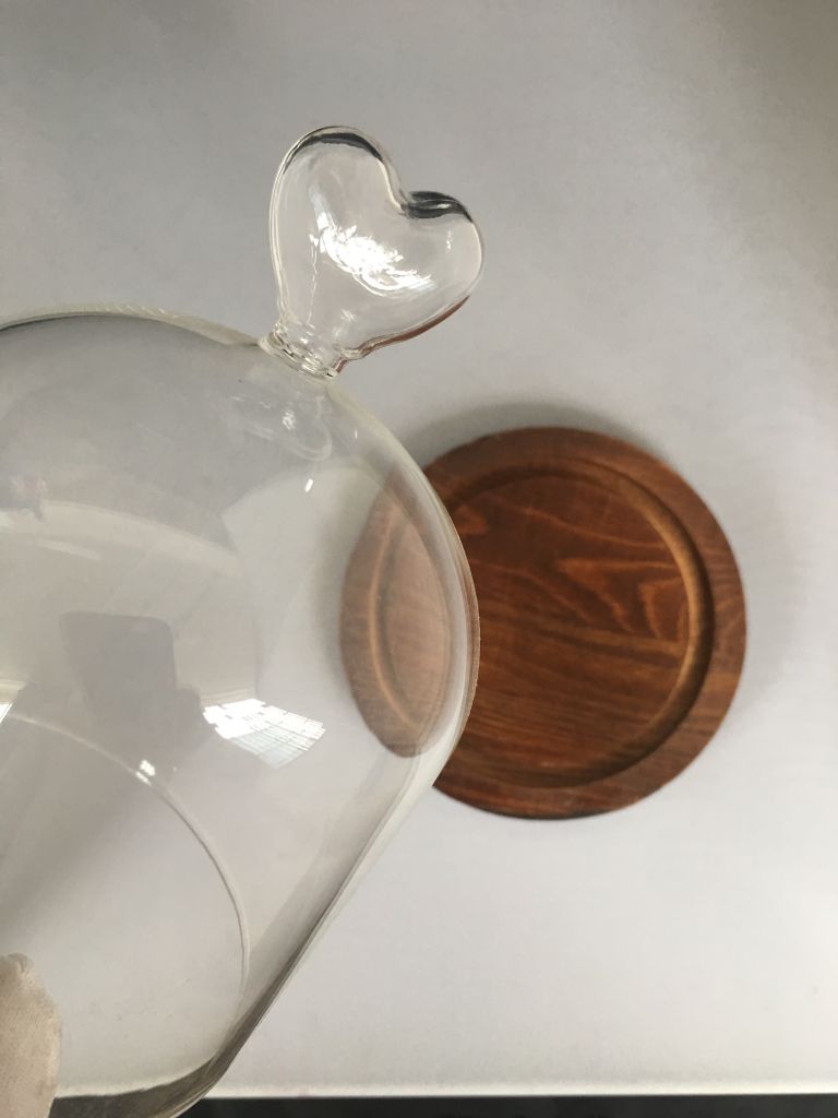 High borosilicate glass cover with wooden base
