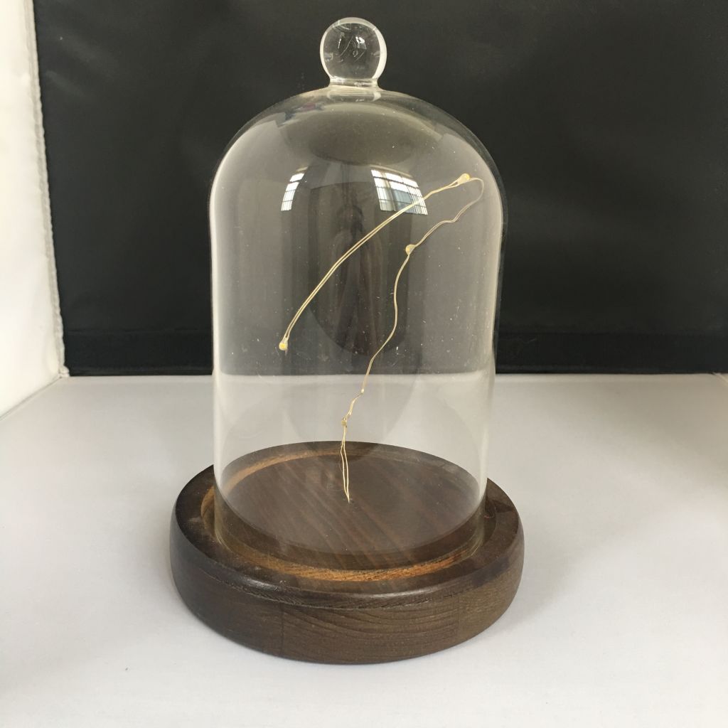 China supplier borosilicate glass bell jar with wooden base