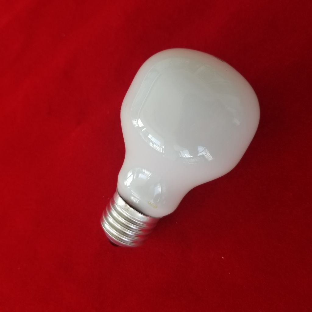 60W 220-240V E27 Moonlight incandescent light bulb