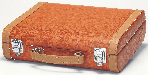 handbags/case