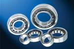 cylindrical roller bearings