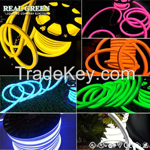 LED Neon Flex Light