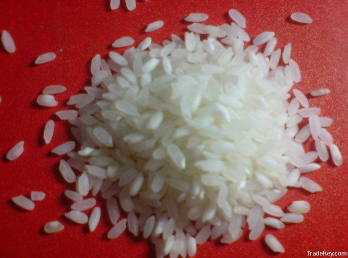 Sona Mansuri Steam Rice