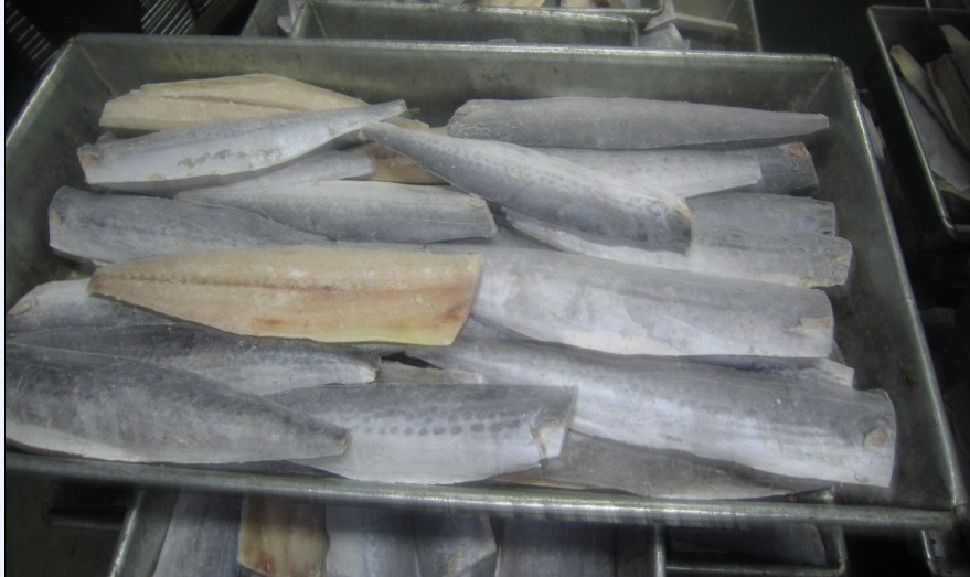 Spainish Mackerel Fillets