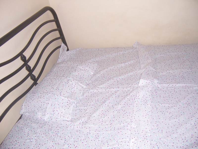 Cotton Bed Sheets 100% 