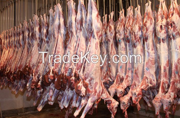 Halal Meat Supplier From Pakistan 