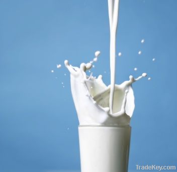 UHT Whole Milk / Skim Milk / Low-fat Milk