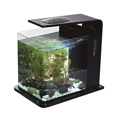 Mini aquarium