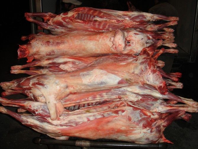 frozen lamb carcass