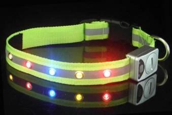 Fashionable LED dog collar