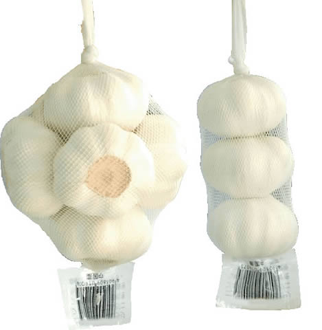 normal fresh garlic