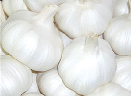 pure white garlic 5