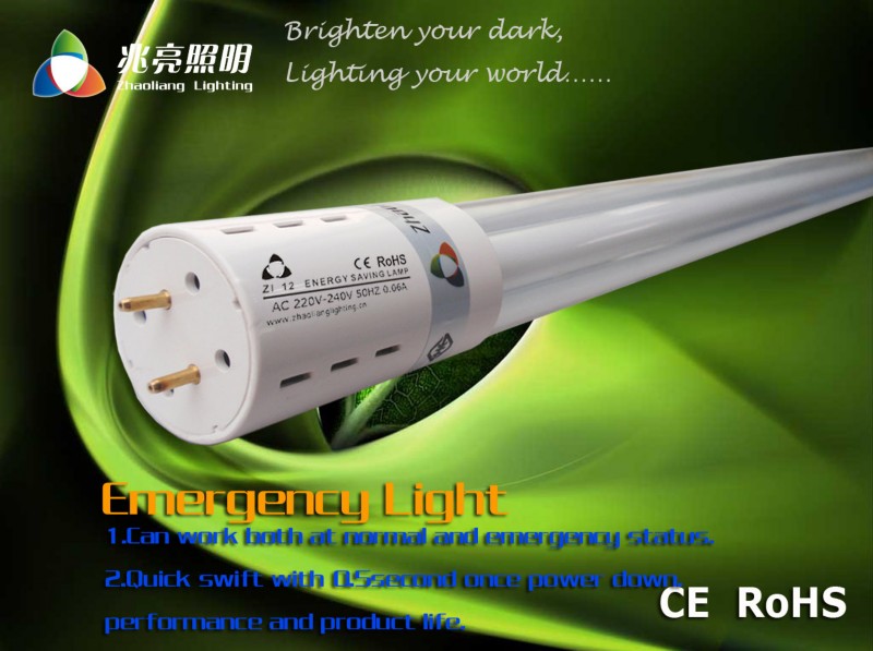 Emergency Light (energy saving lamp)