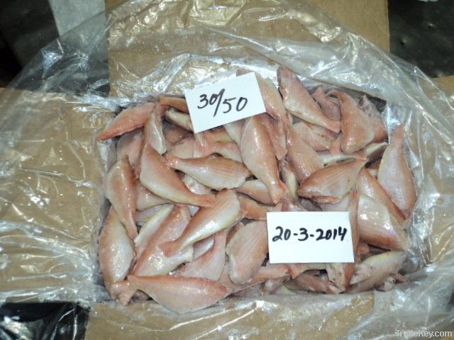 FROZEN JAPANESE THREADFIN BREAM FISH H/L