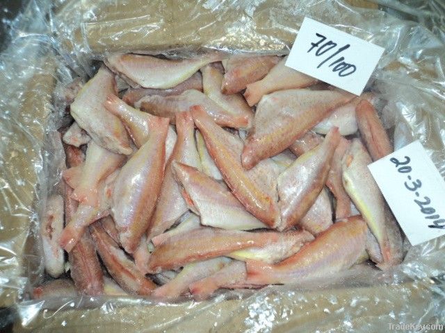 FROZEN JAPANESE THREADFIN BREAM FISH H/L