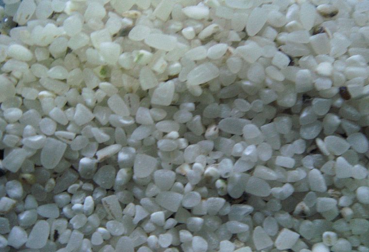 100% Broken White Rice