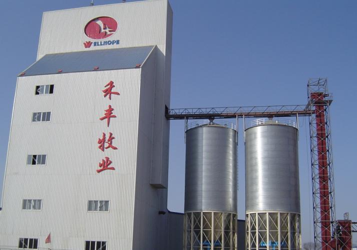 flat bottom steel silo