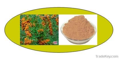 Hippophae Fructus Leaves Extract
