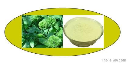 Panax Notoginseng Leaves Extract