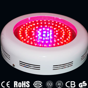 led grow light