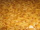 Offer High Quality Mealworm