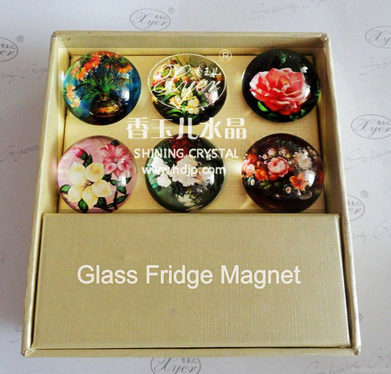 Beautiful Crystal Fridge Magnet
