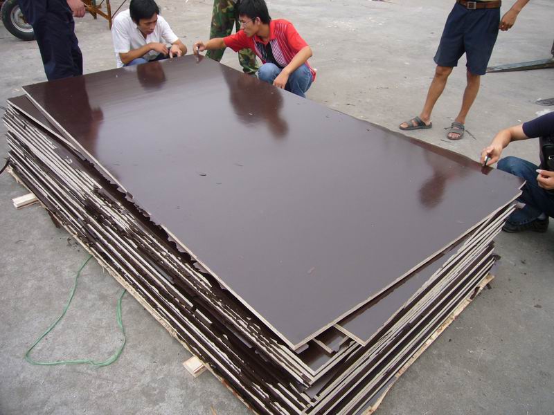 film faced plywood with high quality