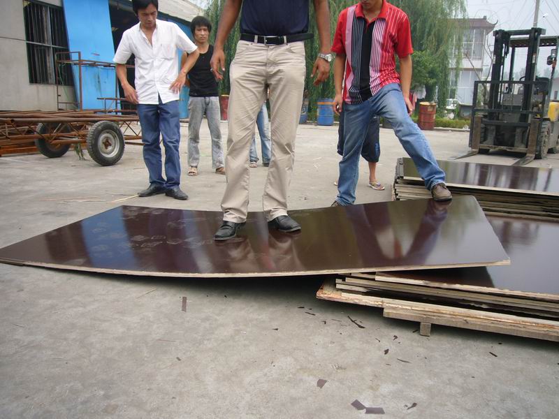 construction plywood