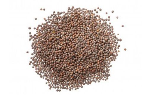 Mustard seeds